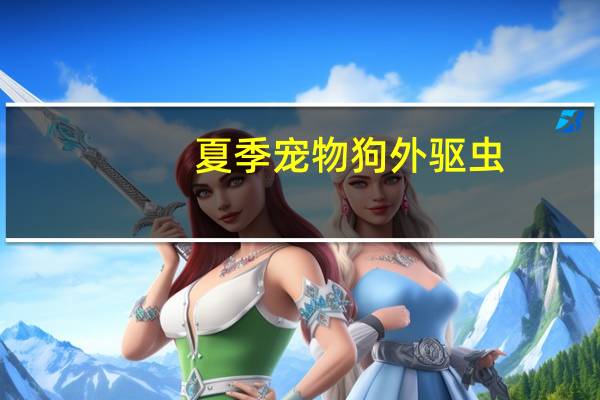 夏季宠物狗外驱虫