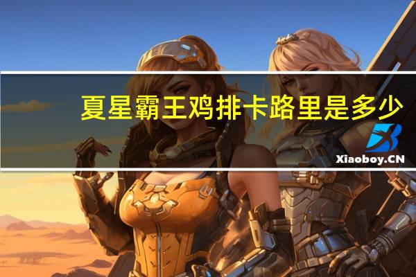 夏星 霸王鸡排卡路里是多少