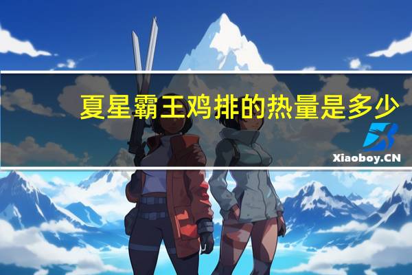 夏星霸王鸡排的热量是多少
