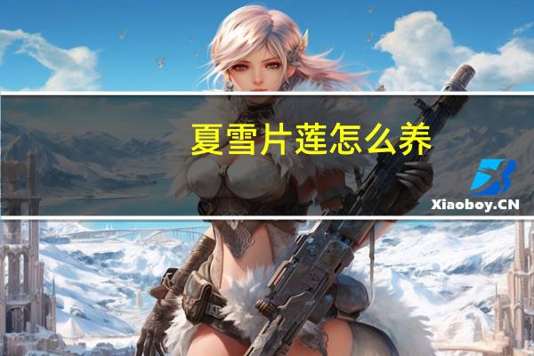 夏雪片莲怎么养