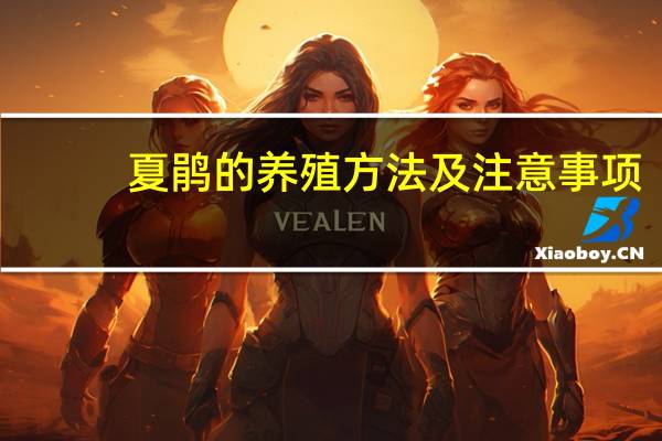 夏鹃的养殖方法及注意事项