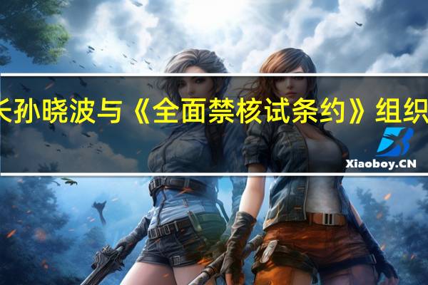 外交部军控司司长孙晓波与《全面禁核试条约》组织执行秘书弗洛伊德会谈