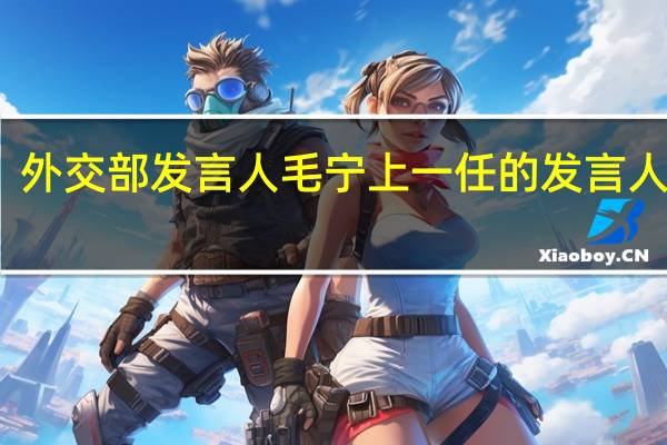 外交部发言人毛宁上一任的发言人是谁