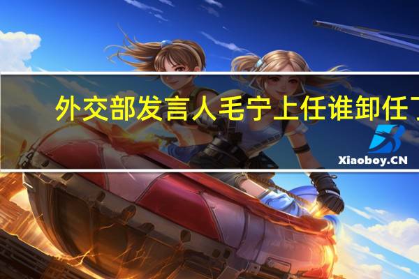 外交部发言人毛宁上任谁卸任了