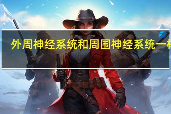 外周神经系统和周围神经系统一样吗（外周神经系统）