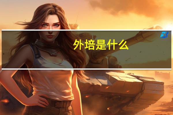 外培是什么