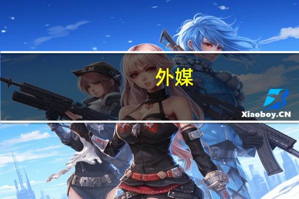 外媒：欧盟明确表示不能向乌克兰提供安全保障