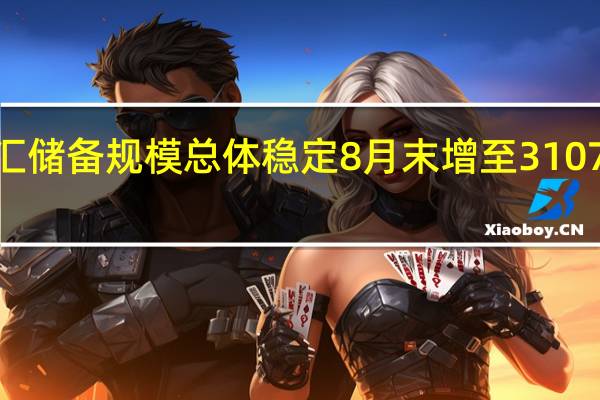 外汇储备规模总体稳定 8月末增至31072亿美元