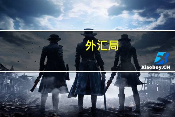 外汇局：8月我国国际收支货物和服务贸易进出口规模40160亿元