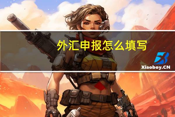 外汇申报怎么填写（外汇申报）