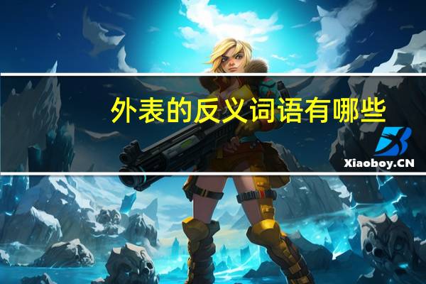 外表的反义词语有哪些（外表的反义词）