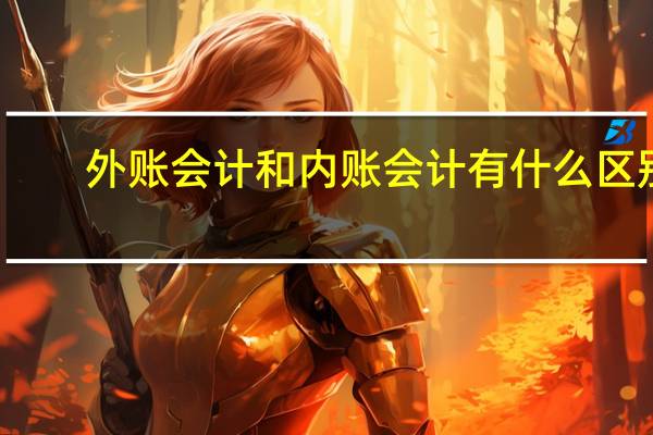 外账会计和内账会计有什么区别