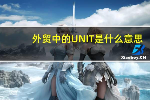 外贸中的UNIT是什么意思