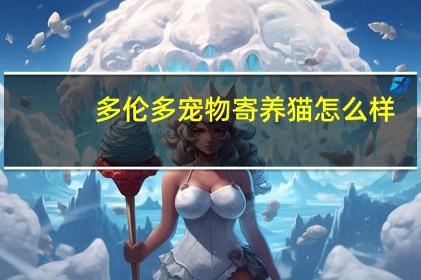 多伦多宠物寄养猫怎么样