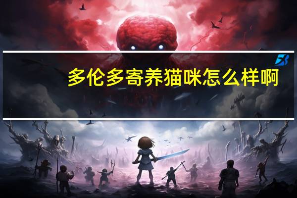 多伦多寄养猫咪怎么样啊