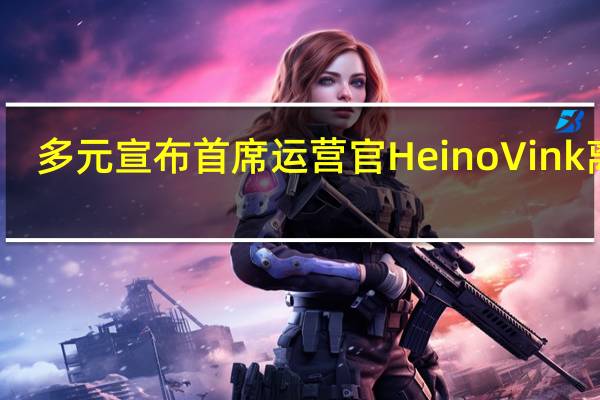 多元宣布首席运营官Heino Vink离开