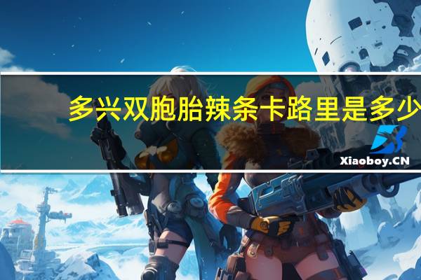 多兴 双胞胎辣条卡路里是多少
