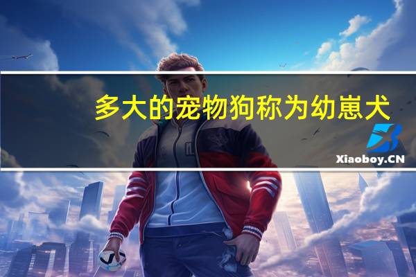 多大的宠物狗称为幼崽犬