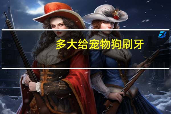 多大给宠物狗刷牙