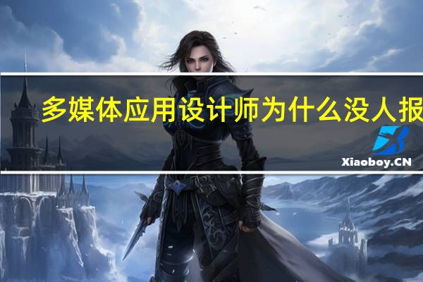 多媒体应用设计师为什么没人报考