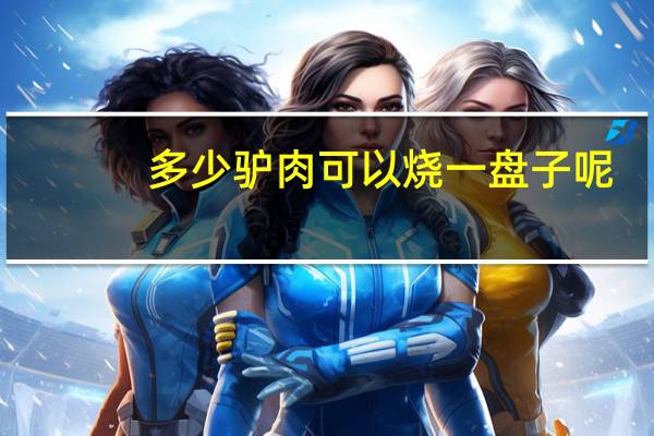 多少驴肉可以烧一盘子呢
