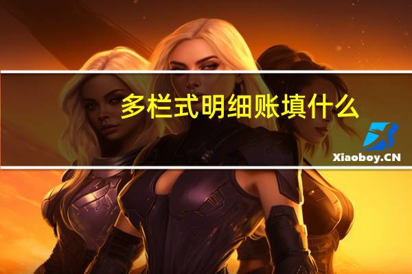 多栏式明细账填什么