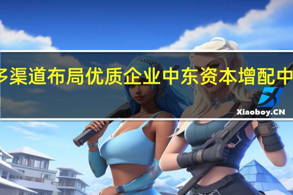 多渠道布局优质企业 中东资本增配中国资产