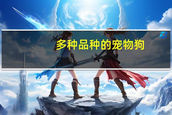 多种品种的宠物狗
