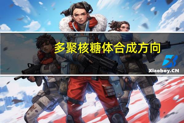 多聚核糖体合成方向（多聚核糖体）
