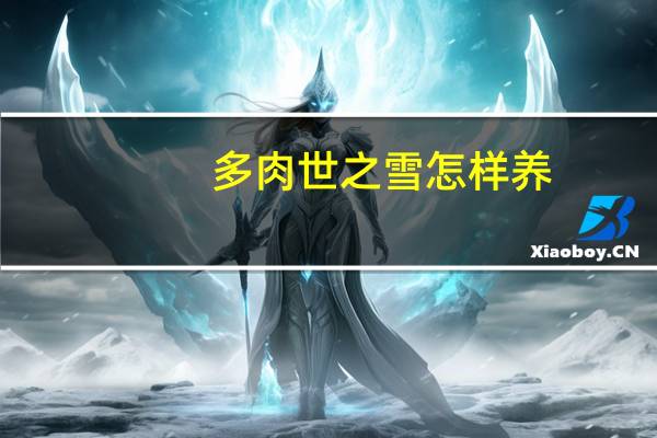 多肉世之雪怎样养