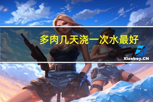 多肉几天浇一次水最好