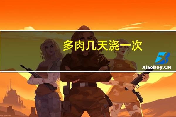 多肉几天浇一次