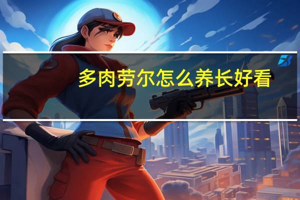 多肉劳尔怎么养长好看