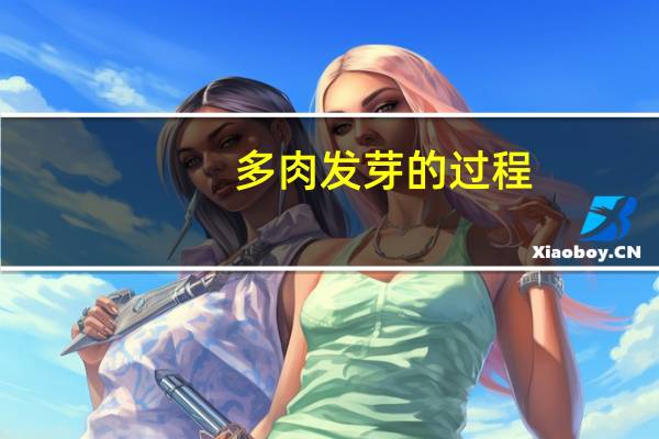 多肉发芽的过程