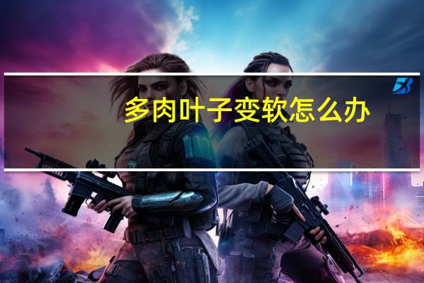 多肉叶子变软怎么办