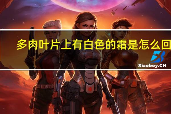 多肉叶片上有白色的霜是怎么回事