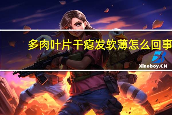 多肉叶片干瘪发软薄怎么回事