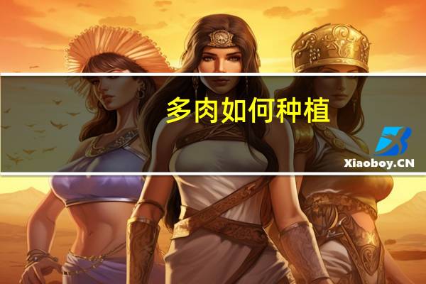 多肉如何种植