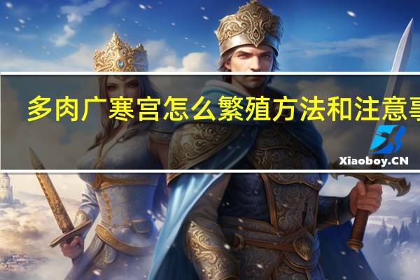 多肉广寒宫怎么繁殖方法和注意事项