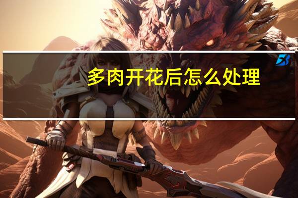 多肉开花后怎么处理