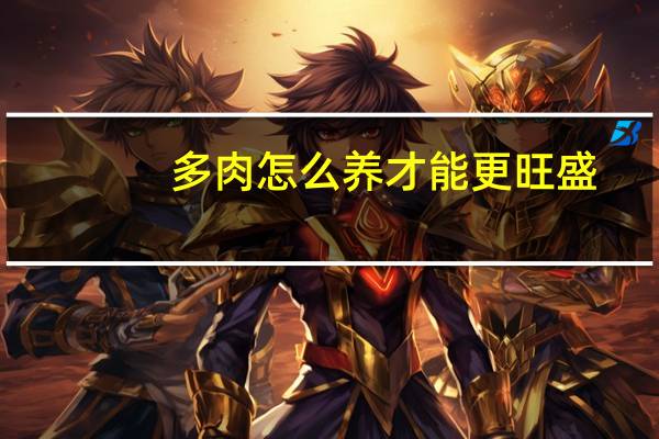 多肉怎么养才能更旺盛