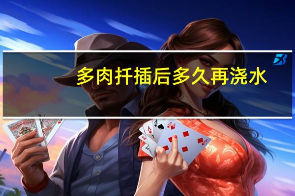 多肉扦插后多久再浇水