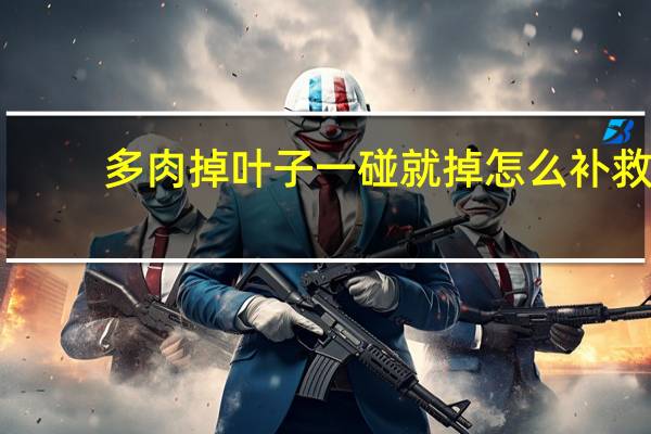 多肉掉叶子一碰就掉怎么补救