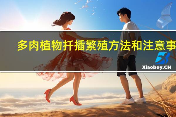 多肉植物扦插繁殖方法和注意事项