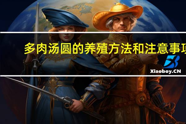 多肉汤圆的养殖方法和注意事项