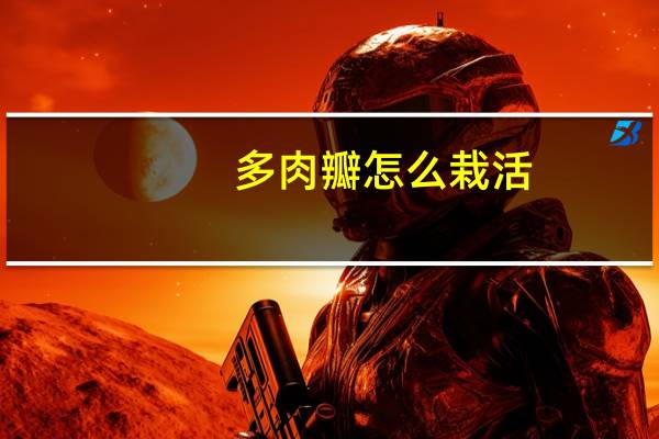 多肉瓣怎么栽活