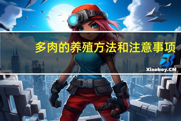 多肉的养殖方法和注意事项