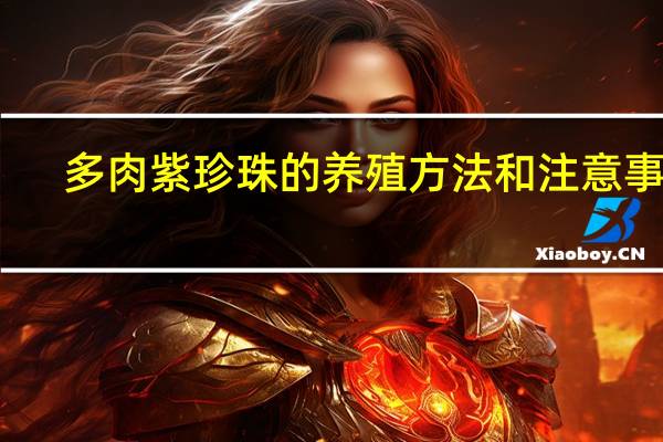 多肉紫珍珠的养殖方法和注意事项