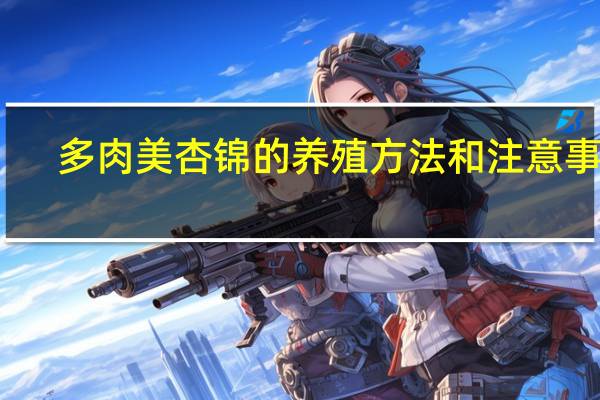 多肉美杏锦的养殖方法和注意事项