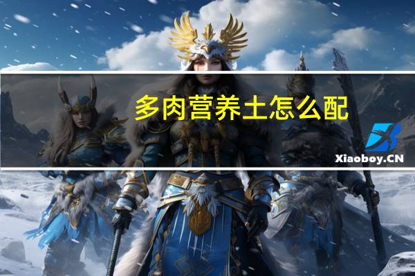 多肉营养土怎么配